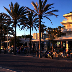 Partial Curl Ups Exercise